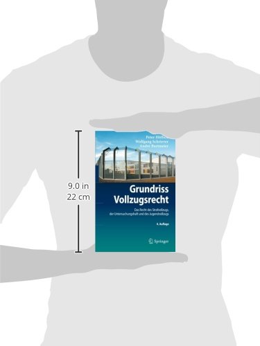 Grundriss Vollzugsrecht: 4. Auflage, Das Recht des Strafvollzugs, der Untersuchungshaft und des Jugendvollzugs (Springer-Lehrbuch) (German Edition) - 3